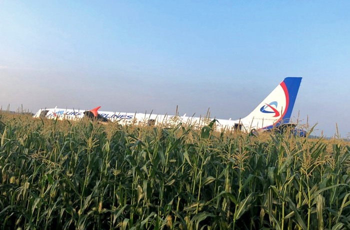 В поле возле Жуковского аварийно сел самолет, пострадали 23 человека
