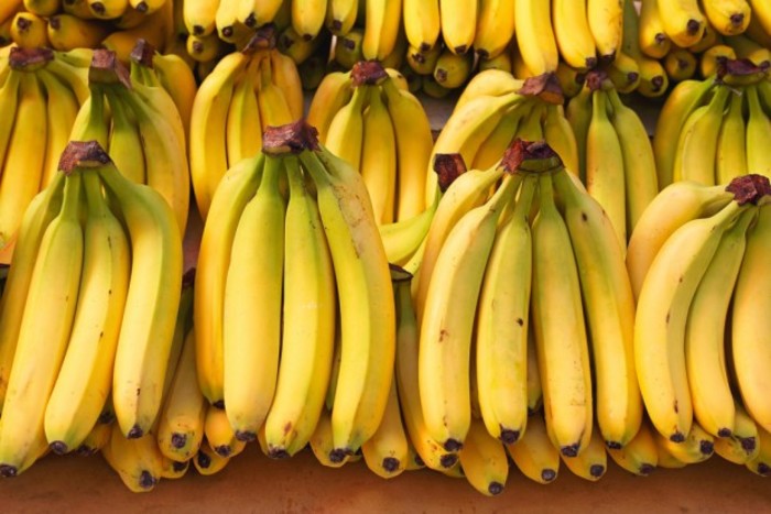 25 тонн бананов отправила Россия обратно в Эквадор из-за мухи