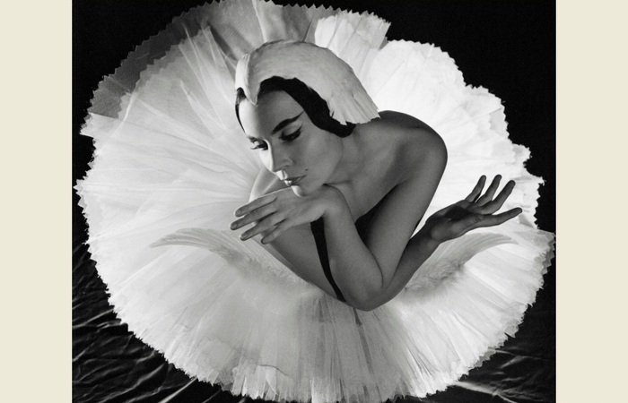 В "Мультимедиа-арт-музее" покажут и расскажут историю балета