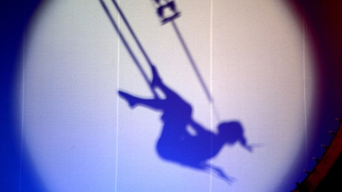 Воздушная акробатка сорвалась с высоты в цирке Владивостока