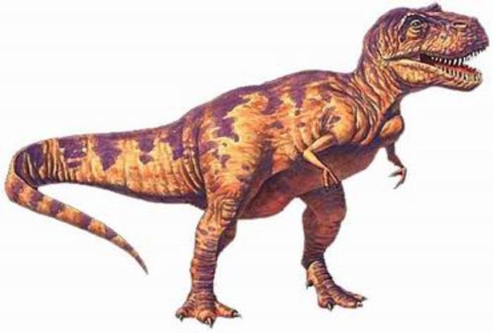 Американские ученые нашли череп самого маленького динозавра в истории 