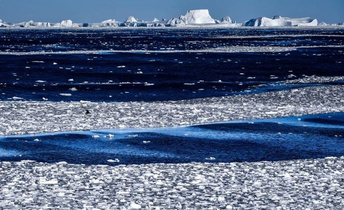 Таяние ледников таит новые сюрпризы для экологии