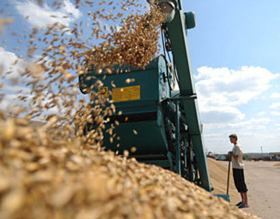 Российский зерновой союз рассчитывает на рекордный уровень экспорта