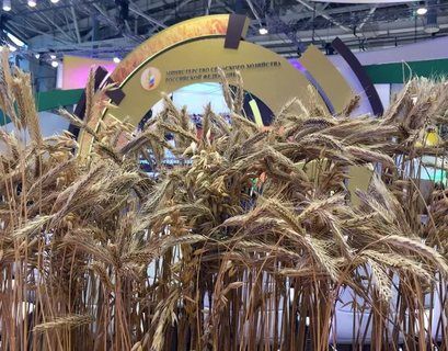 Российские власти увеличат господдержку аграриев