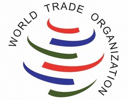 Орешкин призвал ВТО избавить мир от санкций