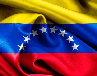 ОАГ призвала Венесуэлу перенести дату президентских выборов