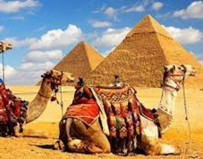 Навязчивые торговцы и попрошайки заплатят штраф в Египте