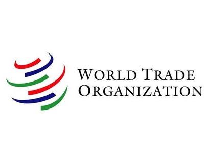 Россия примет участие в реформировании ВТО