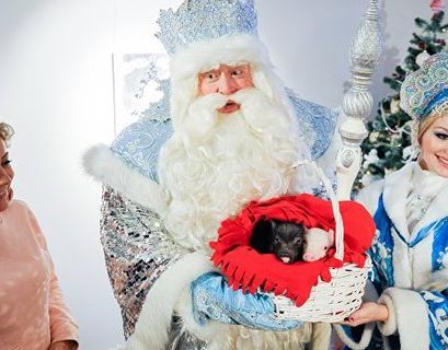 Столичный зоопарк получил новогодний подарок от Деда Мороза