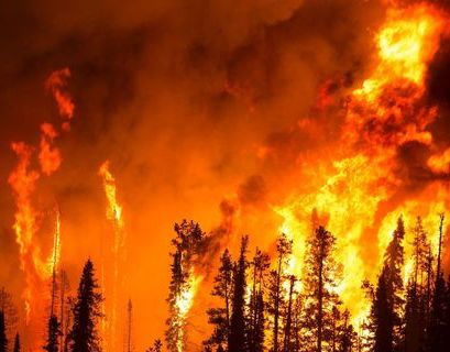 Испания охвачена лесными пожарами