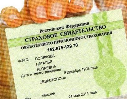 В России перестали выдавать бумажный СНИЛС