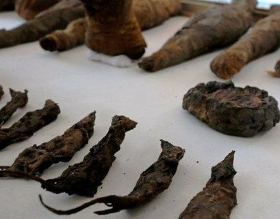 Мумии кошек и мышей найдены в древнеегипетской гробнице