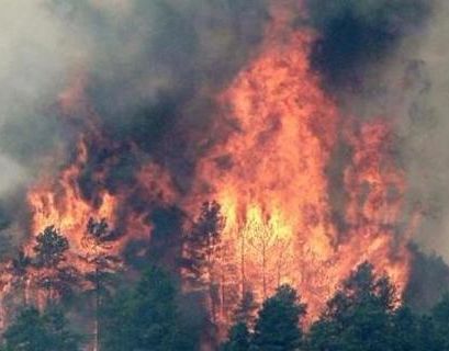 В Бутярии объявлен максимальный уровень пожарной опасности