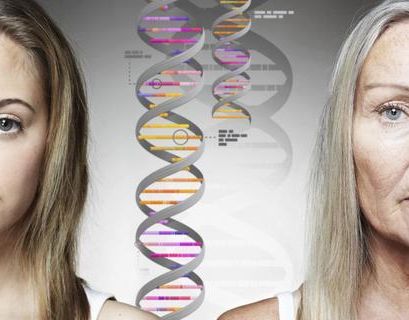 Ученые доказали: старение запрограммировано в генах и на него можно влиять
