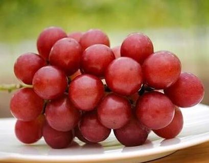 Гроздь самого дорого в мире винограда продали на аукционе в Японии