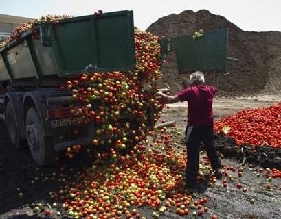 В России уничтожили 1000 тонн продуктов с начала действия санкций