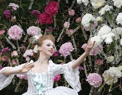 100 тыс цветов увидят в Павловске гости международного фестиваля