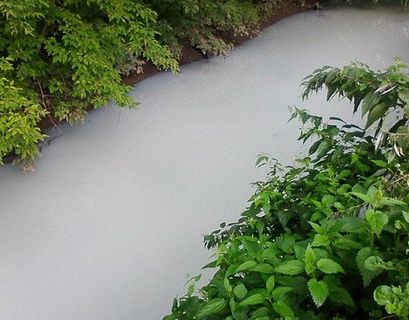 "Молочная река" в Татарстане обойдется компании более чем в 1 млн рублей